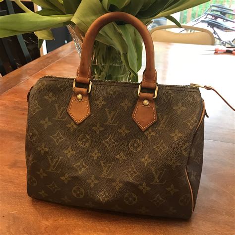 borse louis vuitton speedy 25|louis vuitton speedy 25 used.